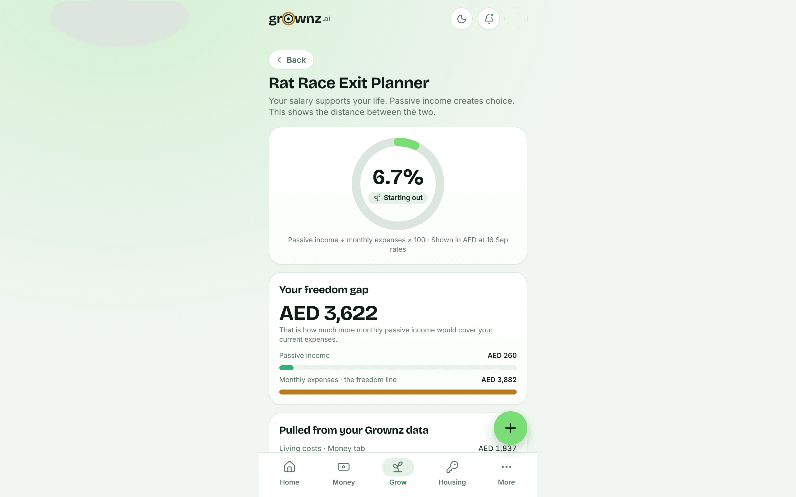 Rat Race Exit Planner screen