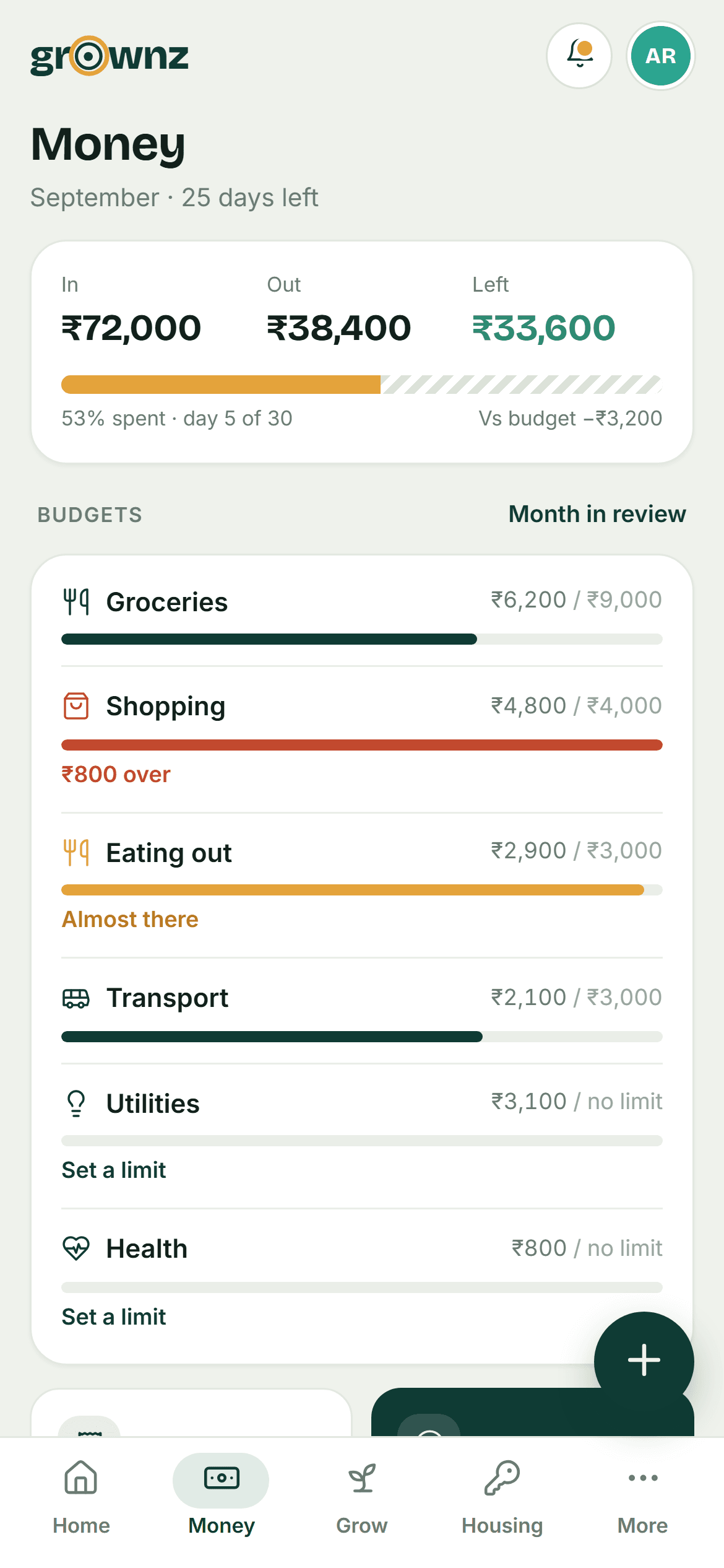 Design preview: Money: in, out and left, then every budget
